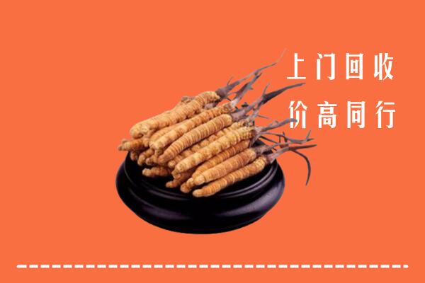 高价求购：福州市台江区回收散虫草