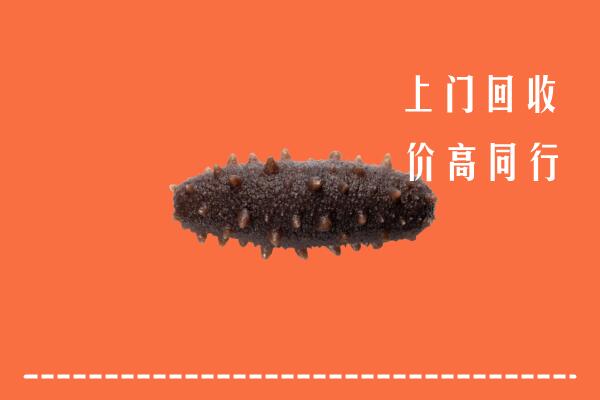 收购行情：福州市台江区回收海参