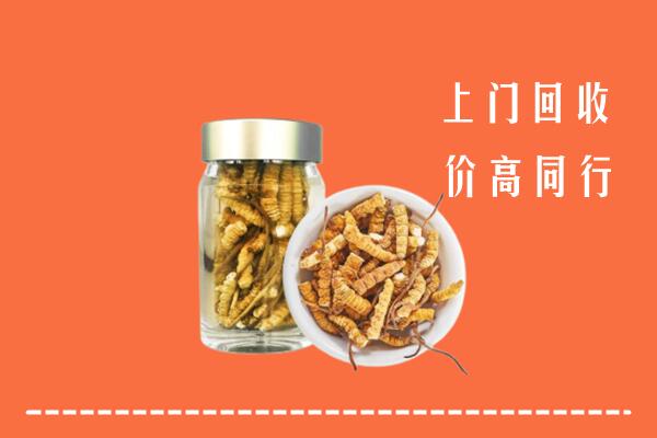 收购行情：福州市台江区回收冬虫夏草